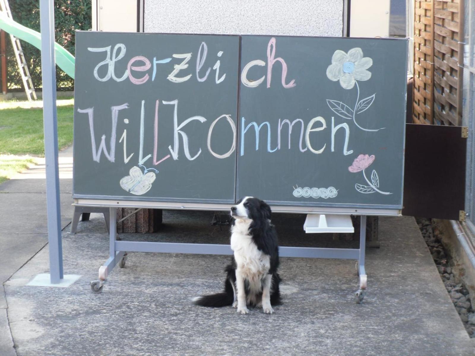 Ferienwohnwagen Rudolf Appartement Coswig  Buitenkant foto